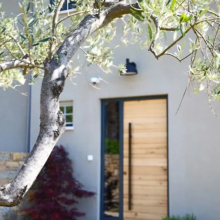 Dom wakacyjny Volare Cantare With 2 Bedroom A Heated Pool And Panoramic View Near Buje, Istra